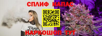 сатива Бугуруслан