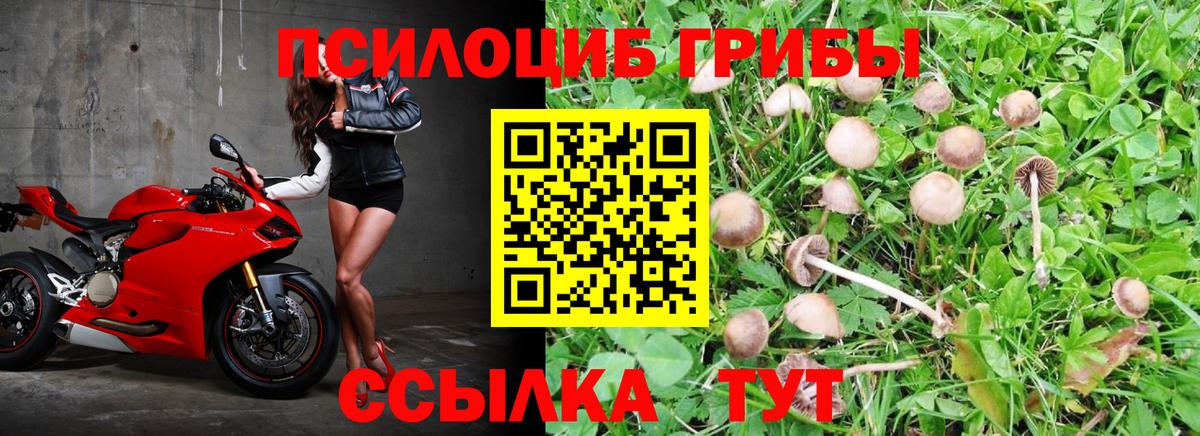 наркотики  Псилоцибиновые грибы прущие грибы  Вход с VPN  Новоуральск 