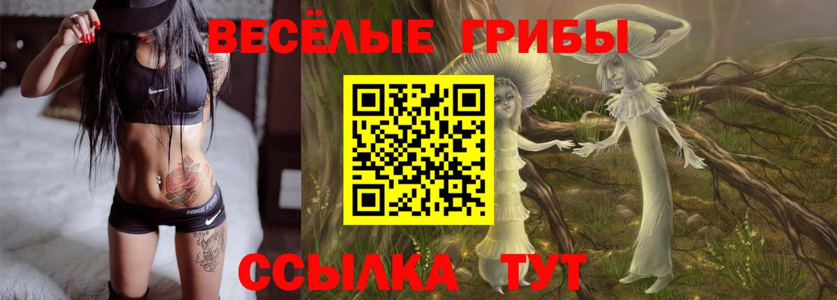 Псилоцибиновые грибы Psilocybe Новоуральск